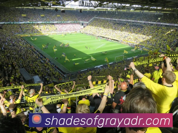 mksports在线登录品牌故事